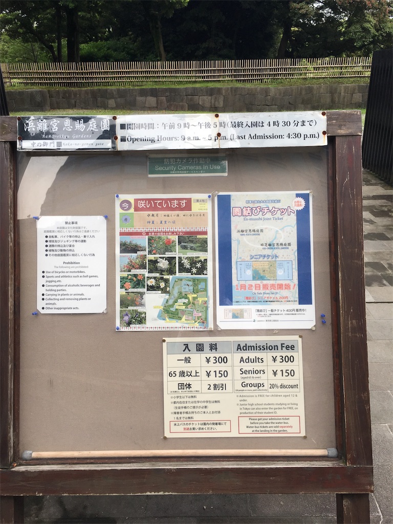 f:id:nyoraikun:20190711095502j:image