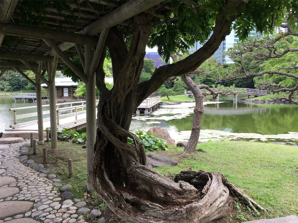 f:id:nyoraikun:20190711101337j:image