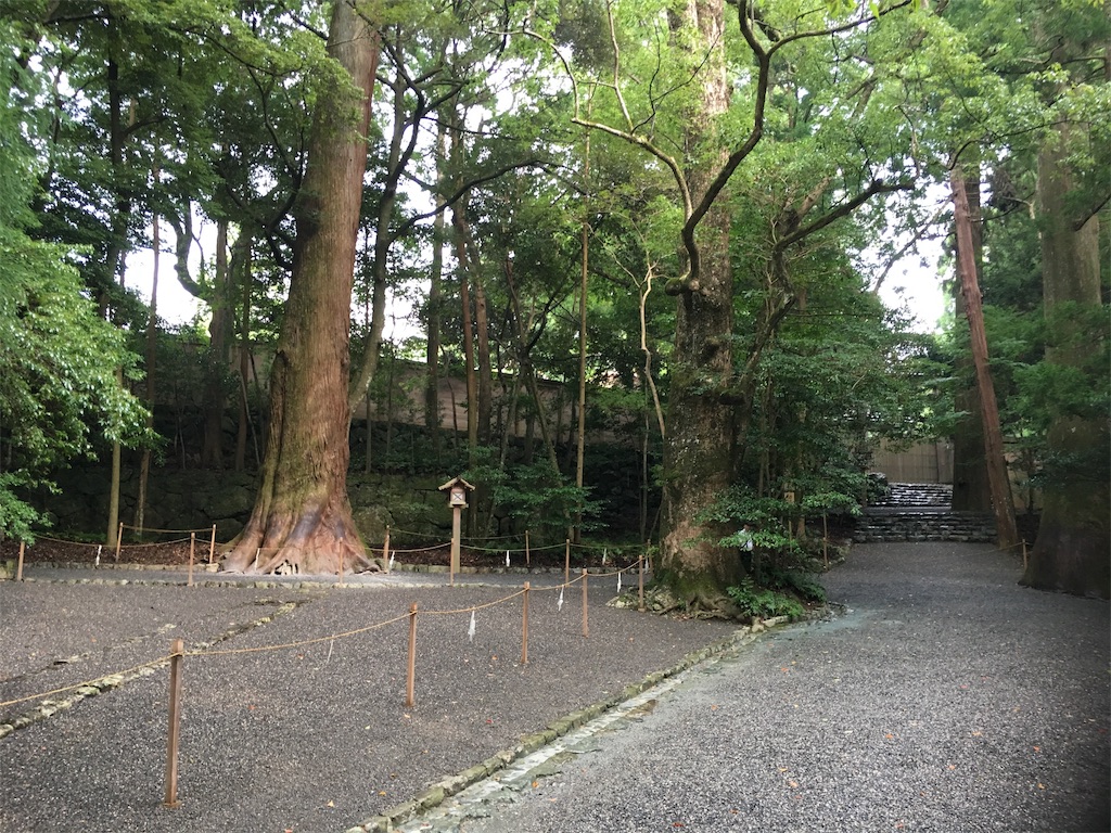 f:id:nyoraikun:20190911213218j:image