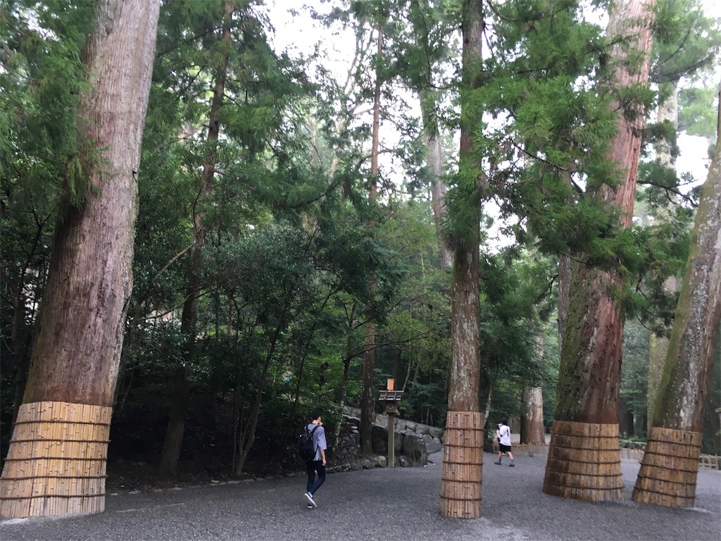 f:id:nyoraikun:20190911213246j:image