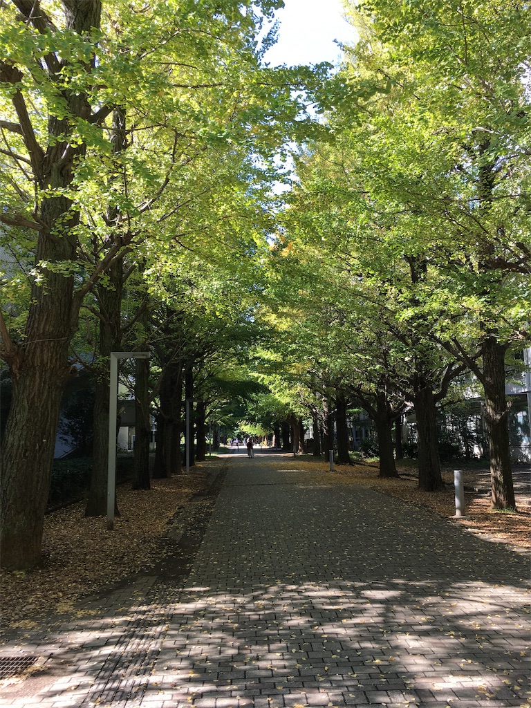 f:id:nyoraikun:20191106173924j:image