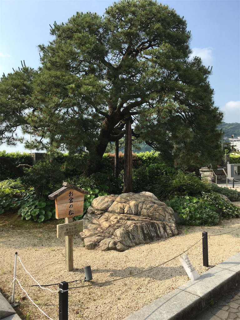 f:id:nyoraikun:20200528162039j:image