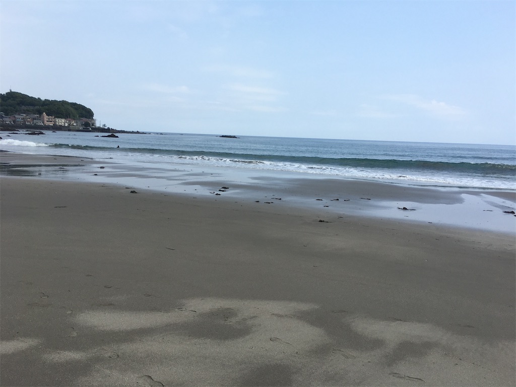 f:id:nyoraikun:20200528174434j:image