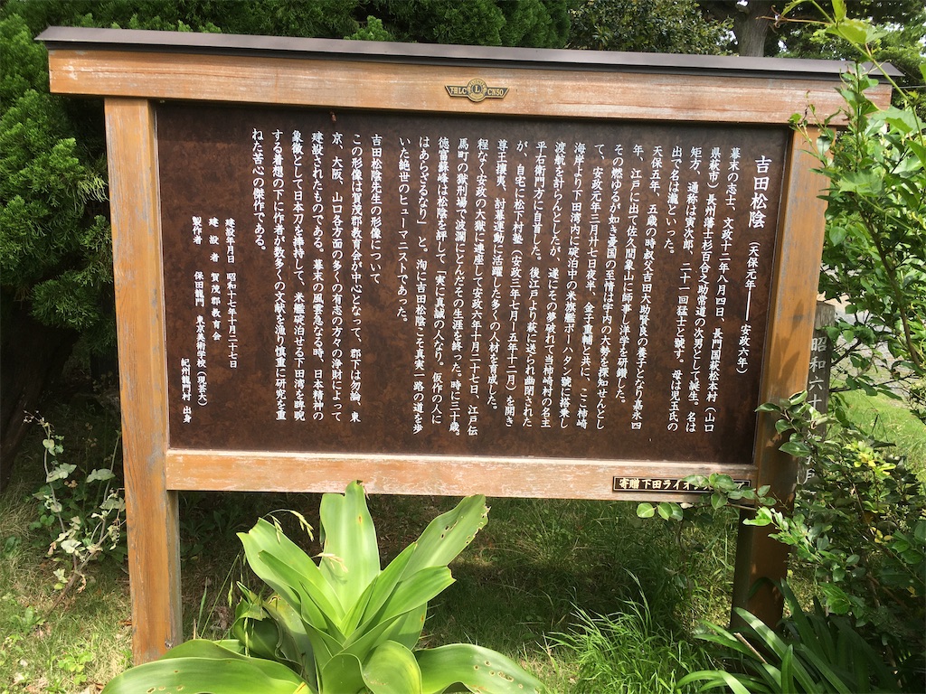 f:id:nyoraikun:20200528174532j:image