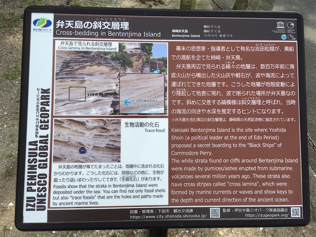 f:id:nyoraikun:20200528174647j:image