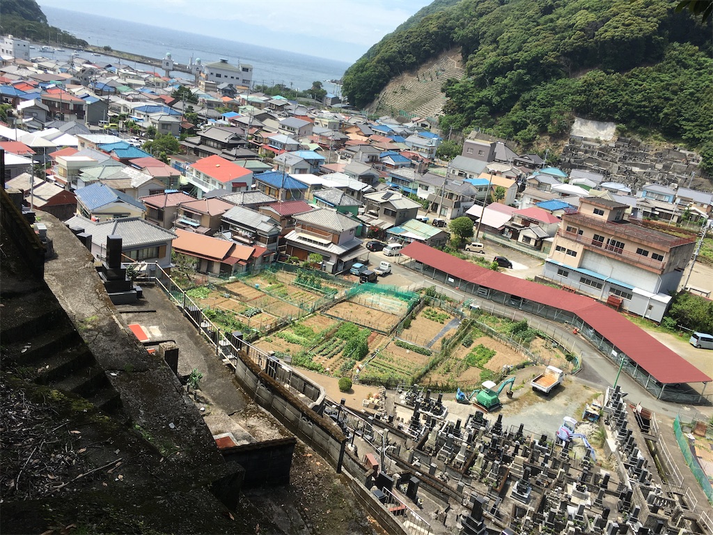 f:id:nyoraikun:20200528224455j:plain