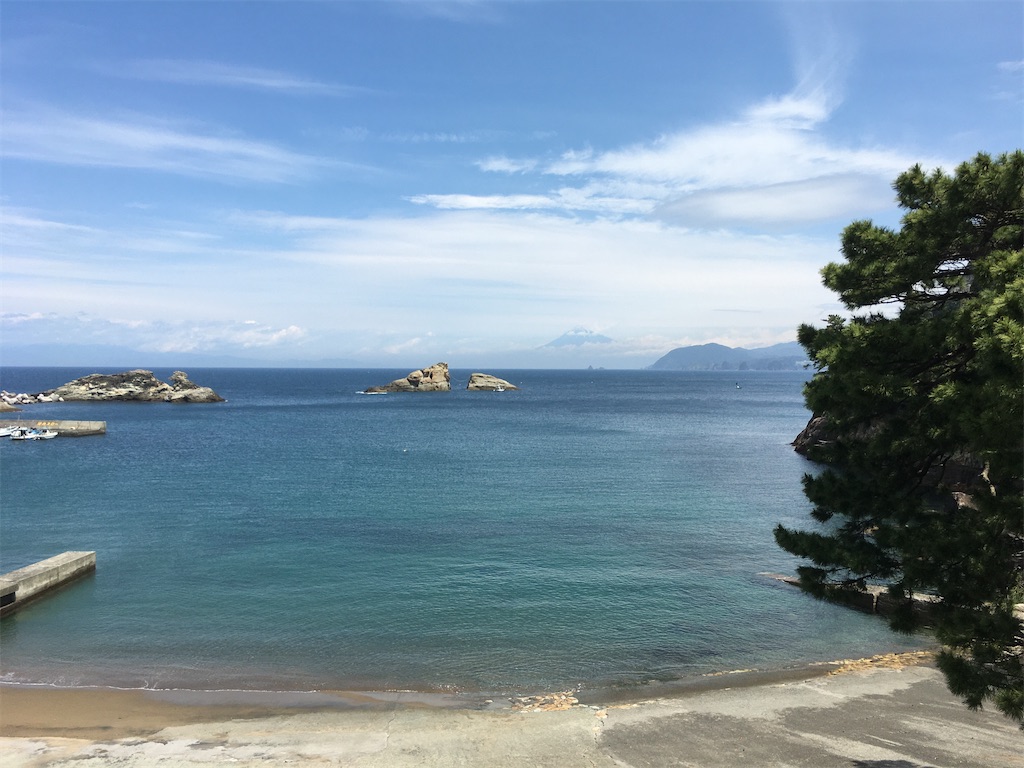 f:id:nyoraikun:20200602204929j:image