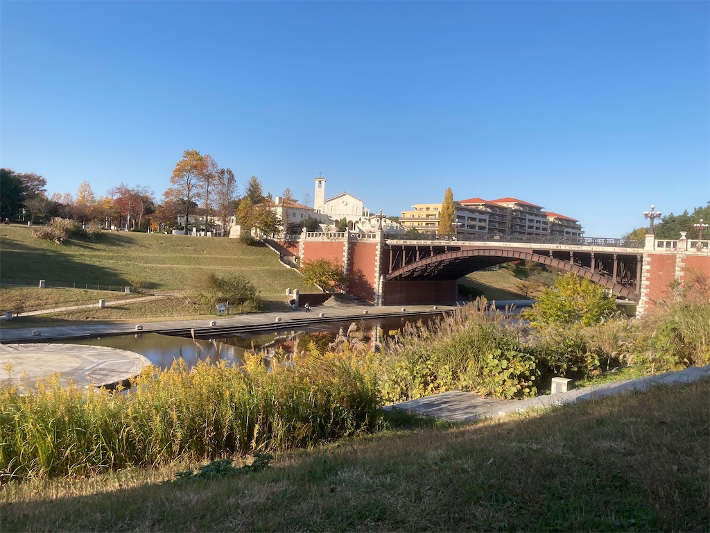 f:id:nyoraikun:20201111190035j:image