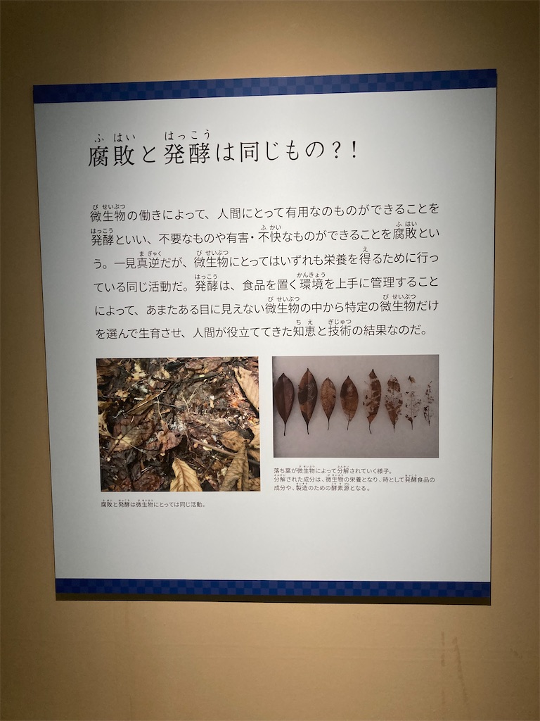 f:id:nyoraikun:20231110101020j:image f:id:nyoraikun:20231110101020j:image