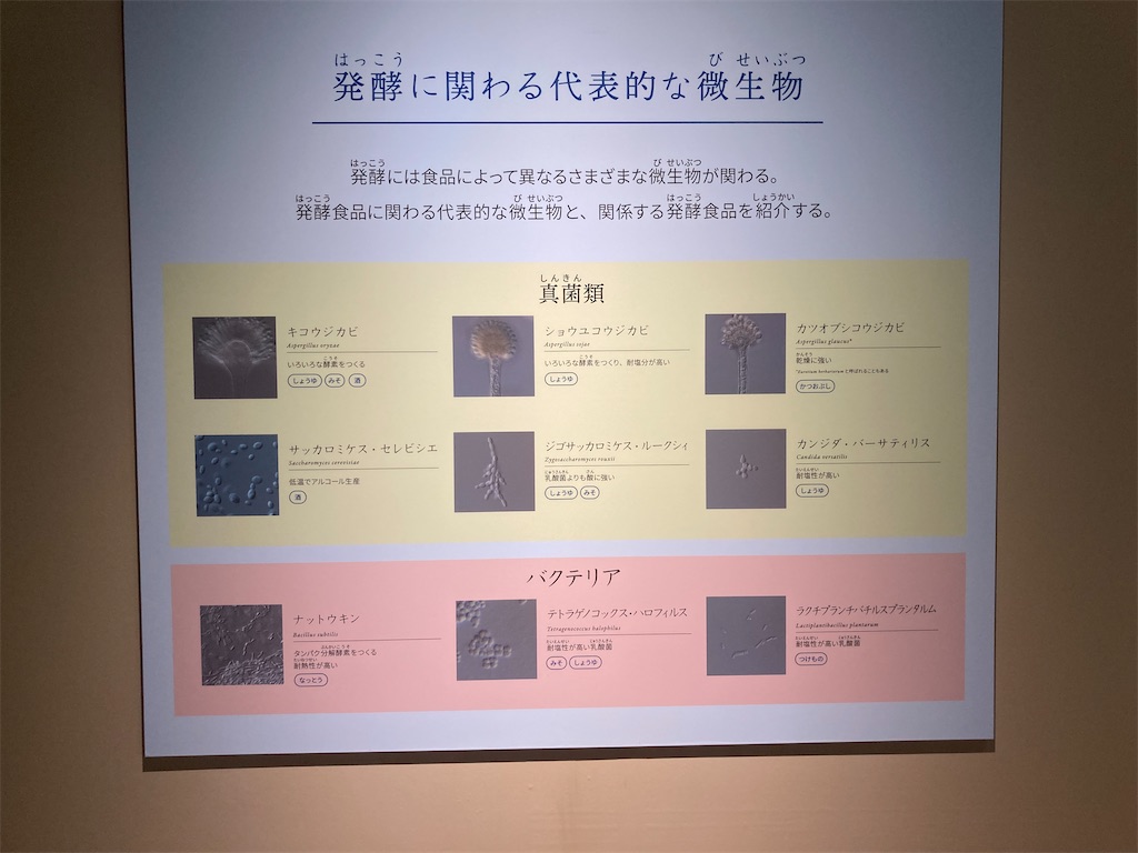 f:id:nyoraikun:20231110101026j:image f:id:nyoraikun:20231110101026j:image