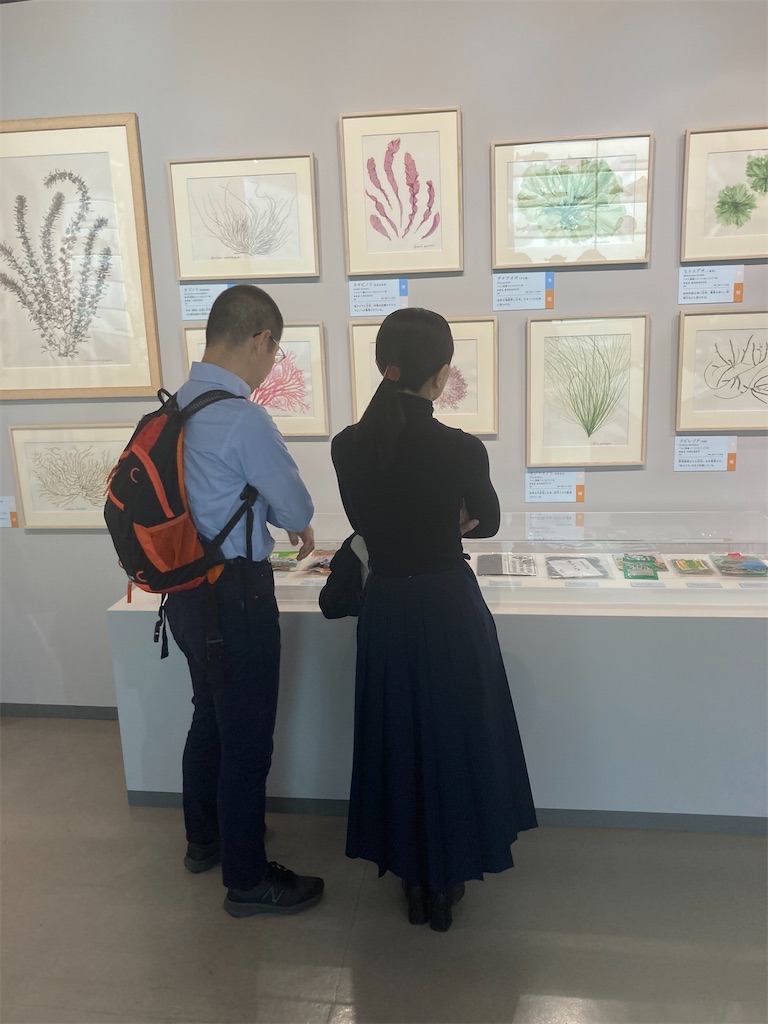 f:id:nyoraikun:20231110101027j:image f:id:nyoraikun:20231110101027j:image