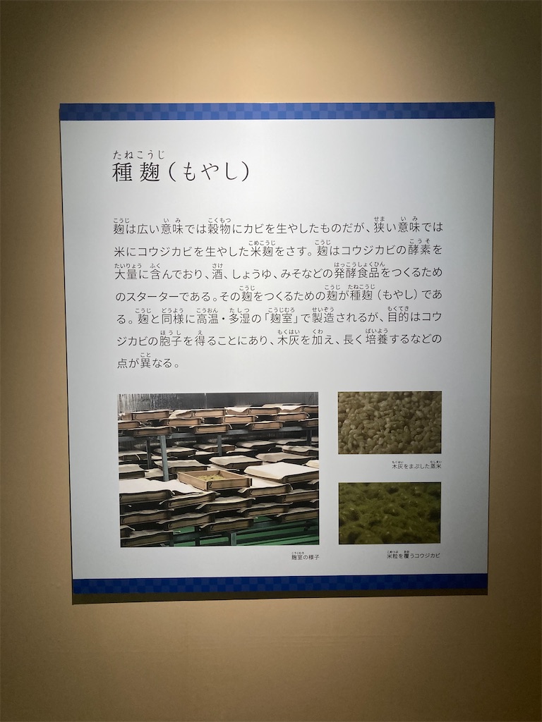 f:id:nyoraikun:20231110101037j:image f:id:nyoraikun:20231110101037j:image