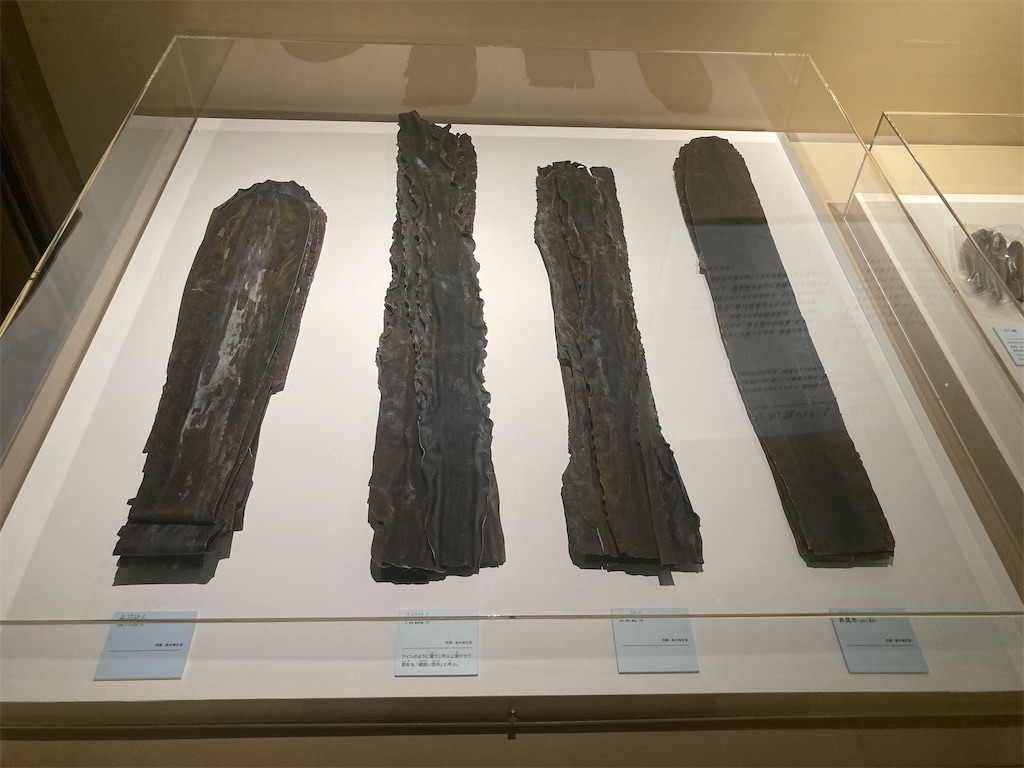 f:id:nyoraikun:20231110101056j:image f:id:nyoraikun:20231110101056j:image