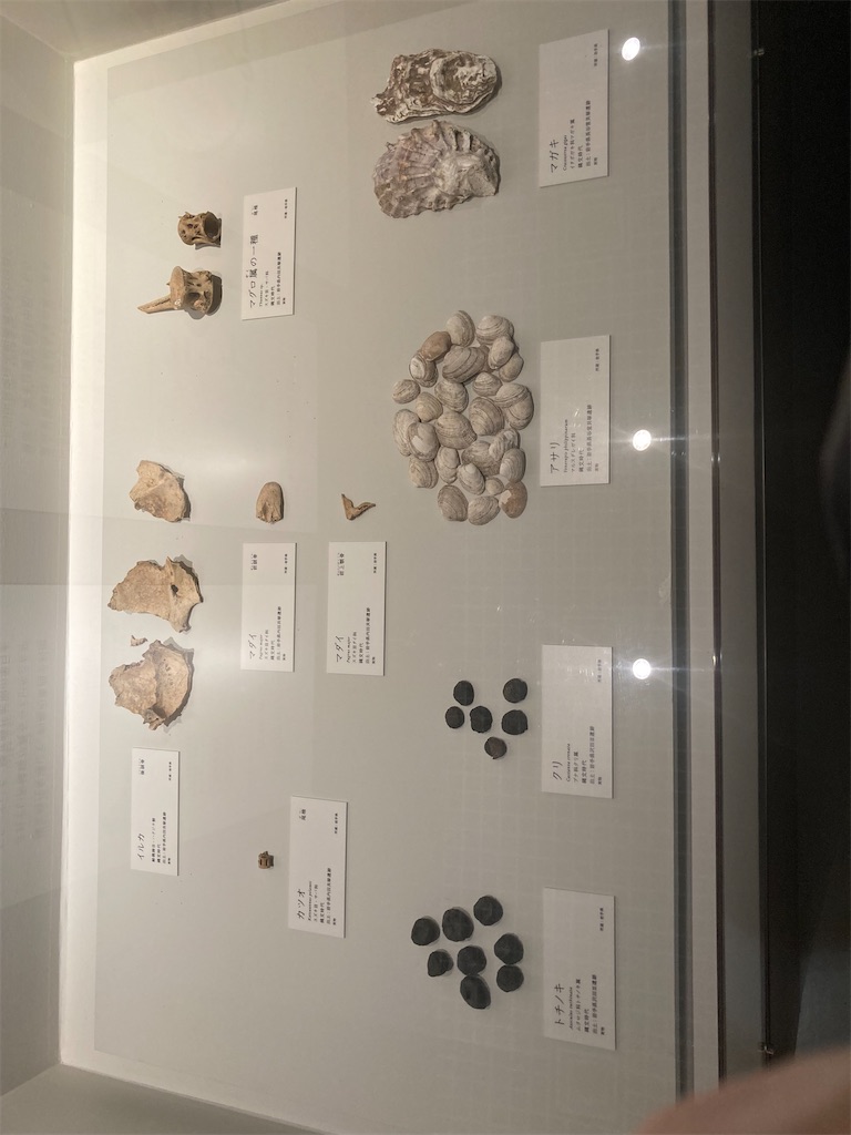 f:id:nyoraikun:20231110101113j:image f:id:nyoraikun:20231110101113j:image