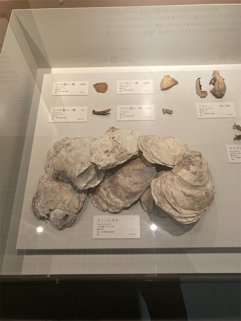 f:id:nyoraikun:20231110101116j:image f:id:nyoraikun:20231110101116j:image