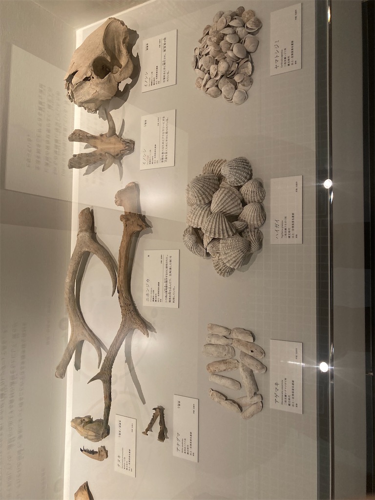 f:id:nyoraikun:20231110101120j:image f:id:nyoraikun:20231110101120j:image