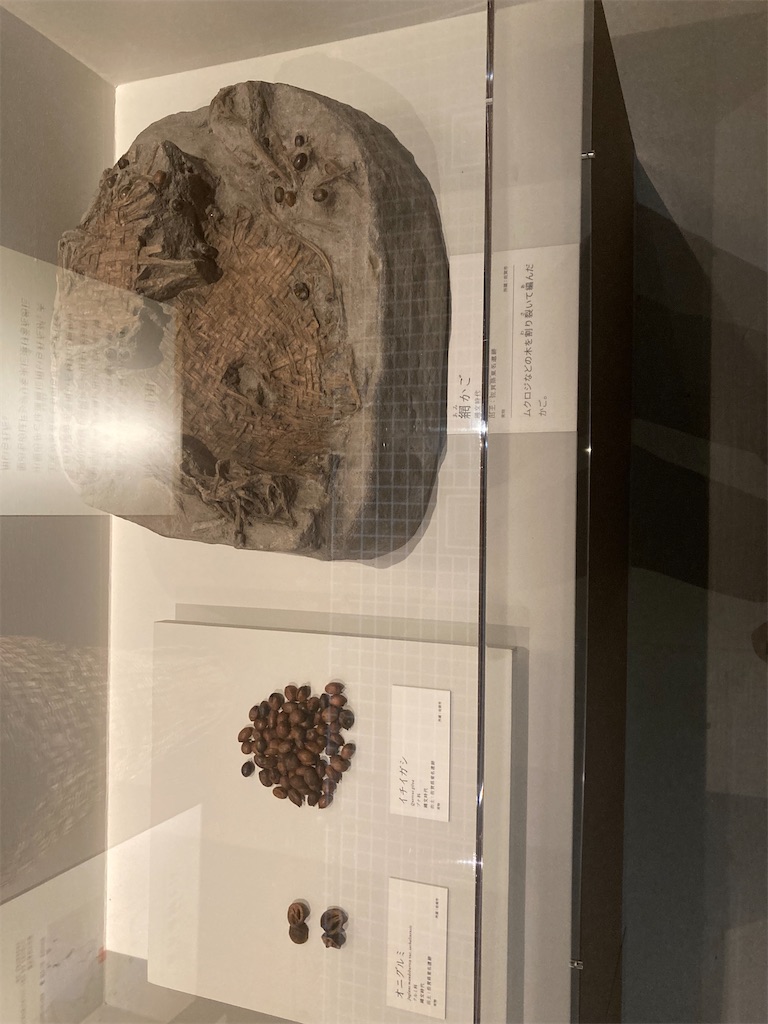 f:id:nyoraikun:20231110101127j:image f:id:nyoraikun:20231110101127j:image