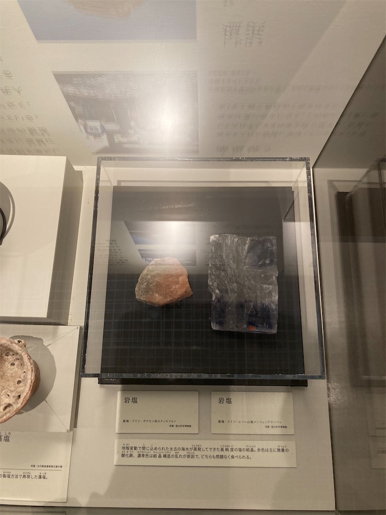 f:id:nyoraikun:20231110101131j:image f:id:nyoraikun:20231110101131j:image