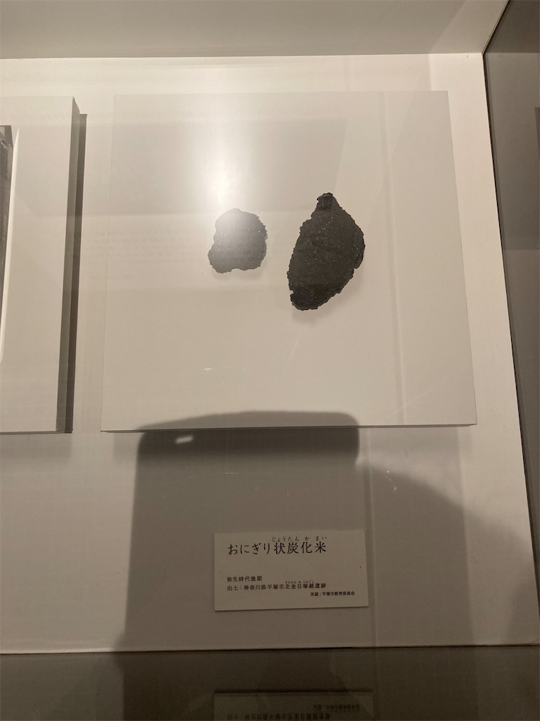 f:id:nyoraikun:20231110101138j:image f:id:nyoraikun:20231110101138j:image