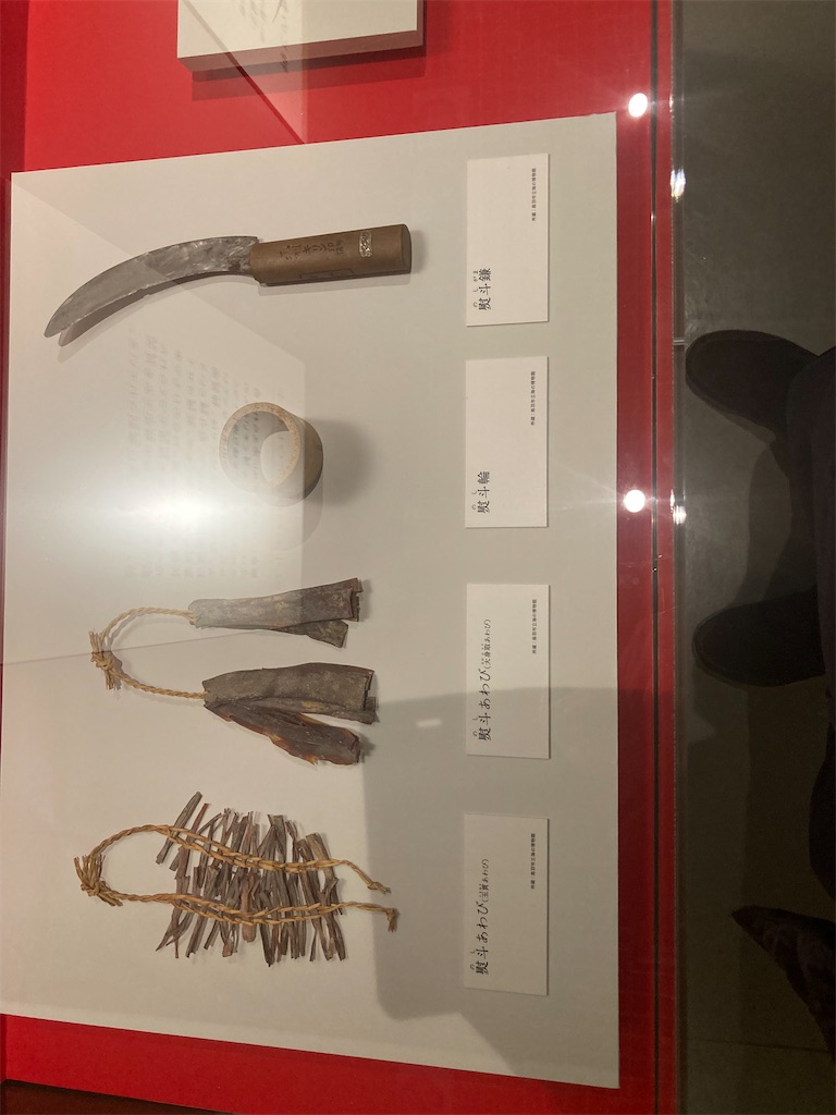 f:id:nyoraikun:20231110101301j:image f:id:nyoraikun:20231110101301j:image