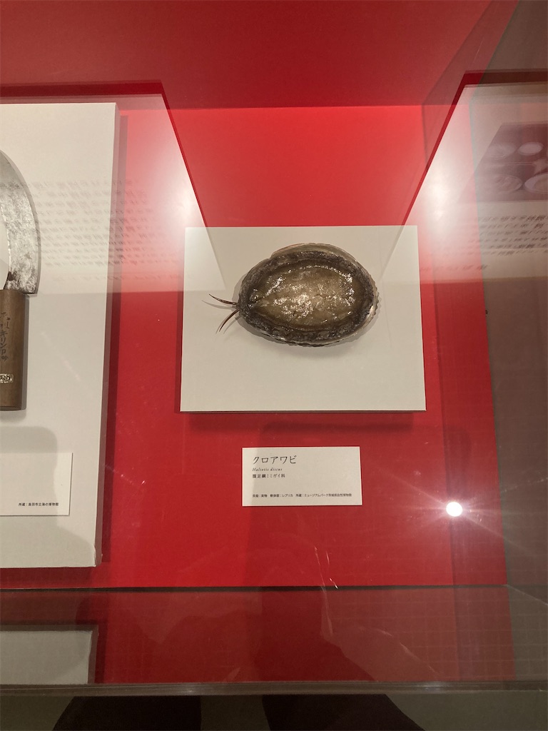 f:id:nyoraikun:20231110101304j:image f:id:nyoraikun:20231110101304j:image