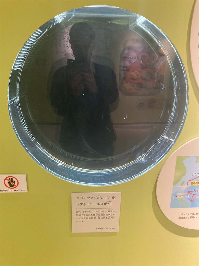 f:id:nyoraikun:20231110102332j:image f:id:nyoraikun:20231110102332j:image