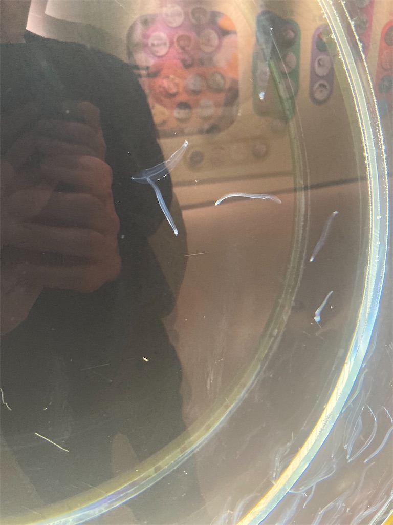 f:id:nyoraikun:20231110102336j:image f:id:nyoraikun:20231110102336j:image